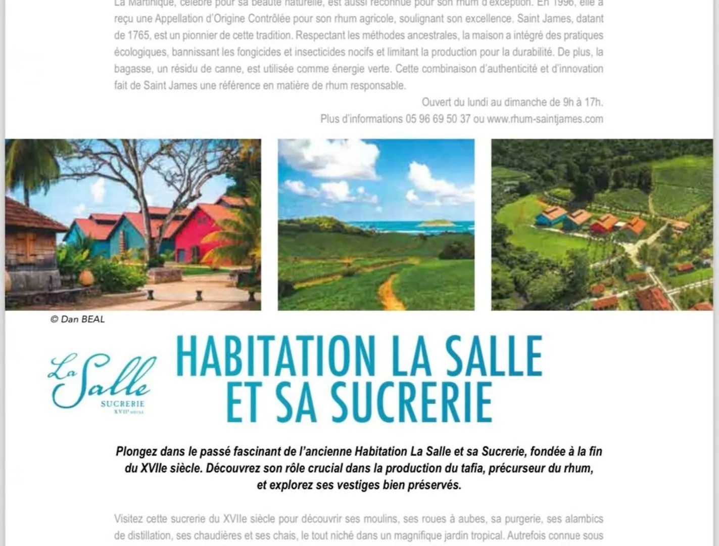 بيت للعطل Bungalow Avec Piscine Au Coeur De La Campagne Vert سانت-ماري مارتينيك