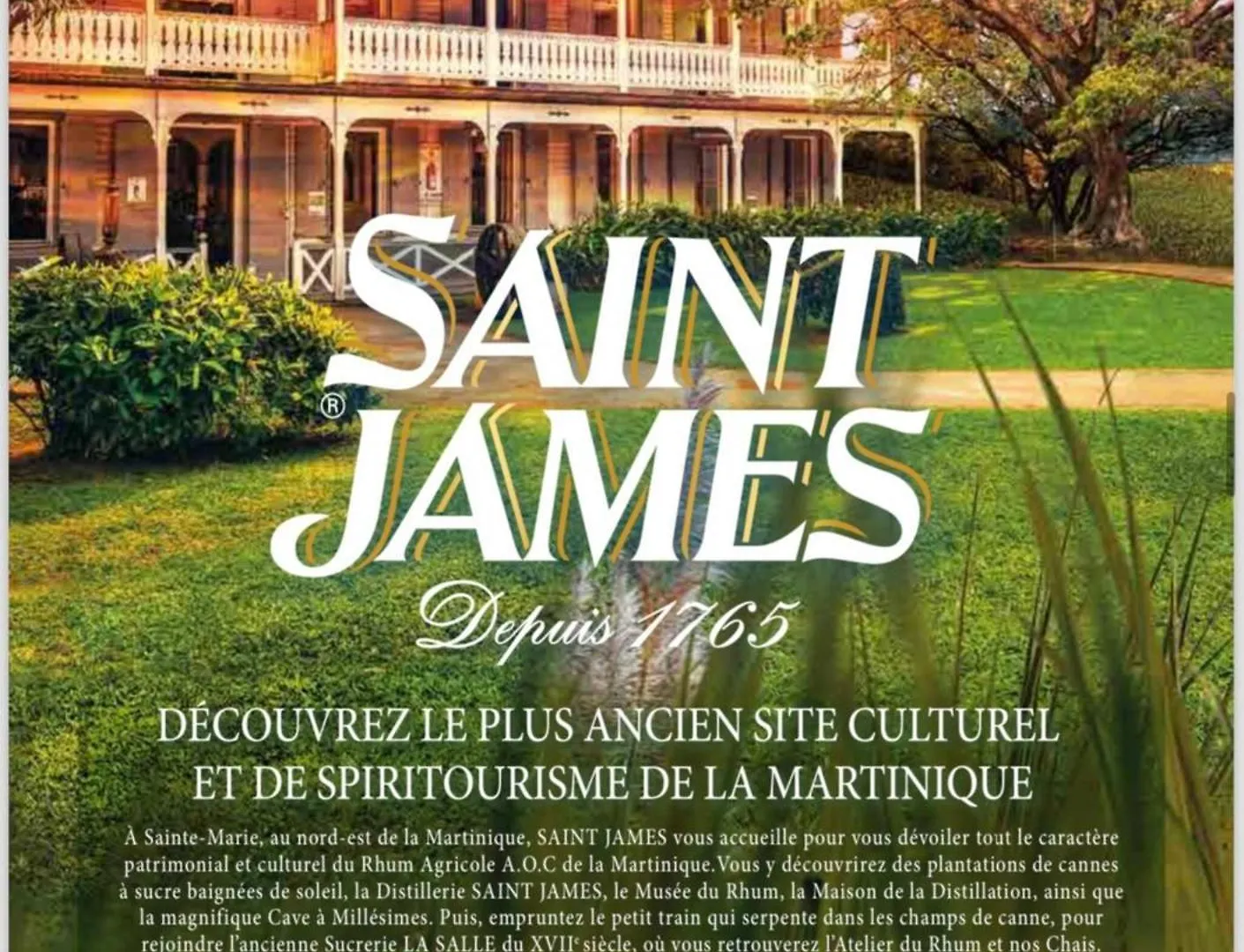 Bungalow Avec Piscine Au Coeur De La Campagne Vert Sainte-Marie